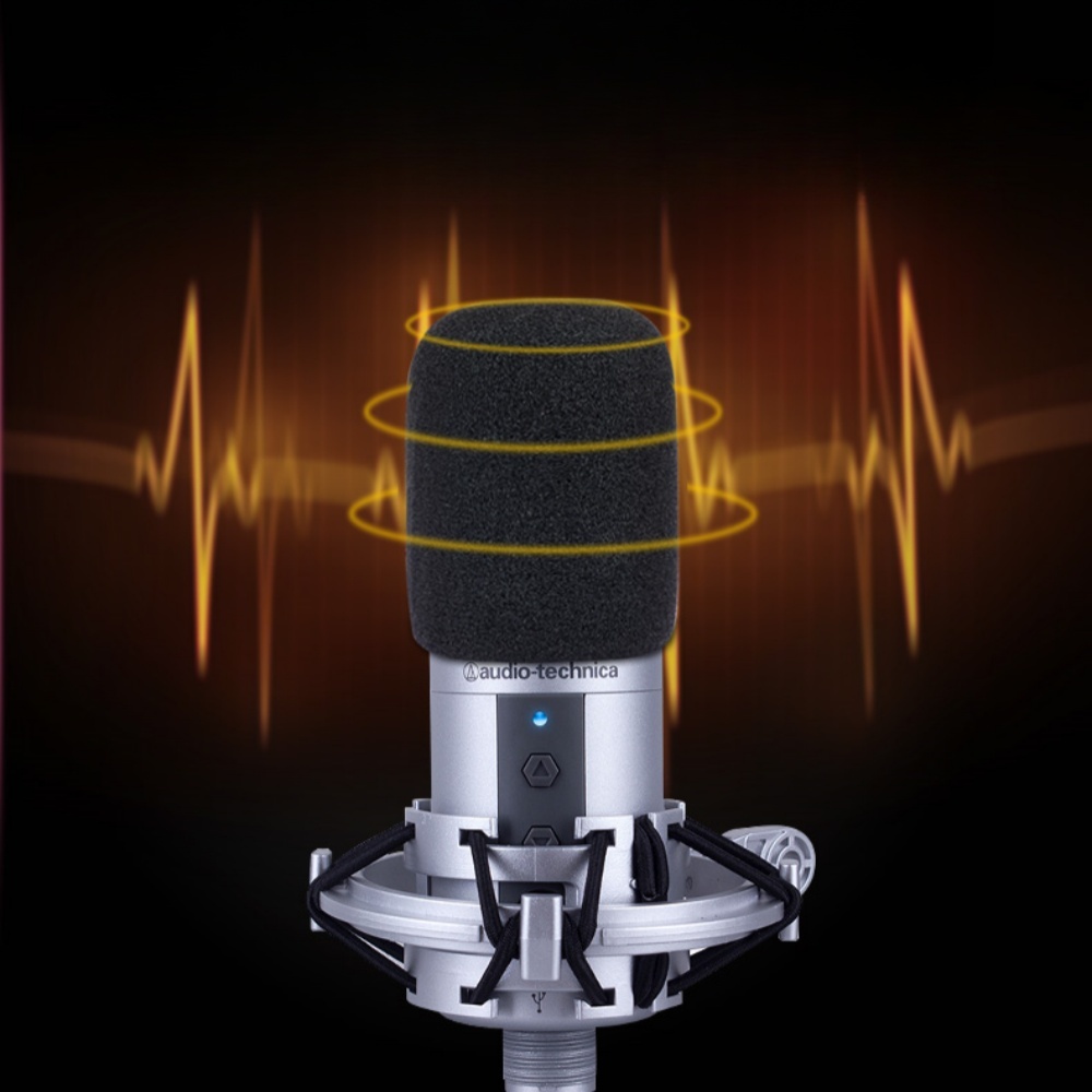 2PCS AT2020 Microphone Windscr - đánh giá và giá Recording Pop Filter