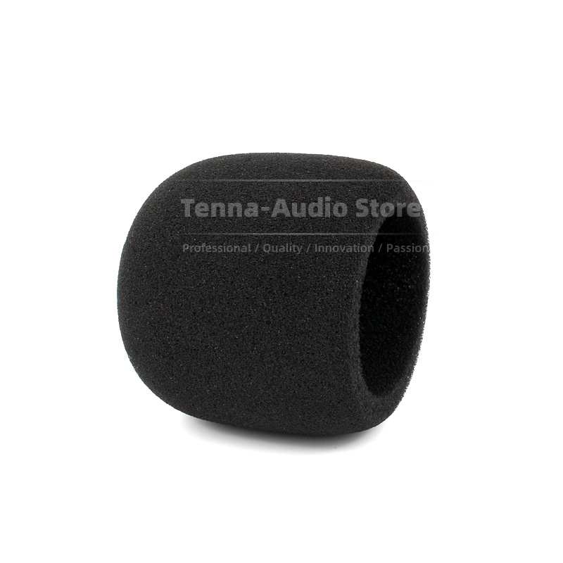 Replacement For SONY PCM D10 P - đánh giá và giá Recording Pop Filter