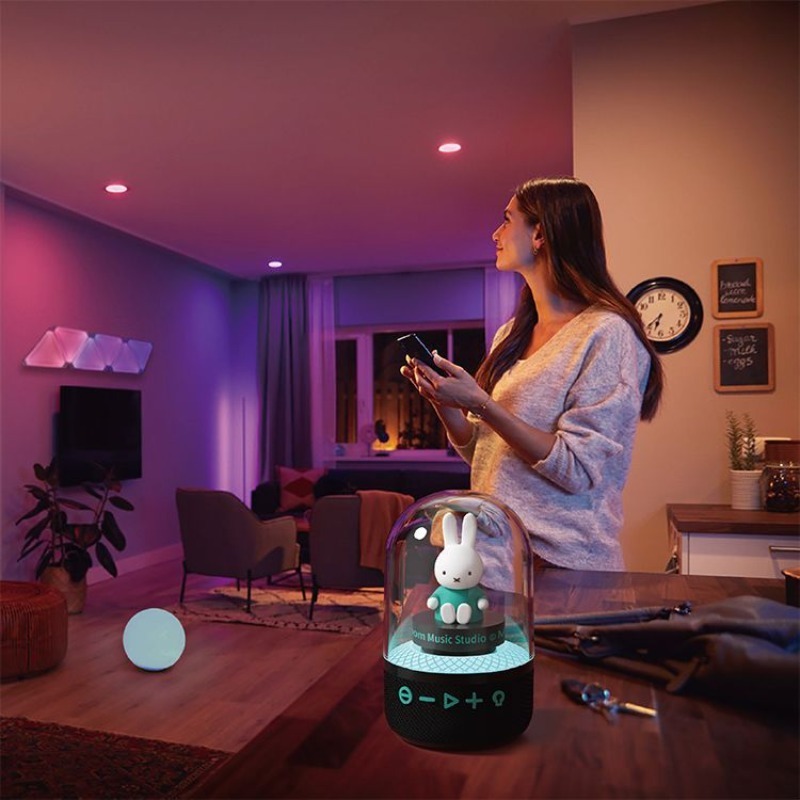 Kawaii Miffy Wireless Desktop  - đánh giá và giá Audio Music Edit