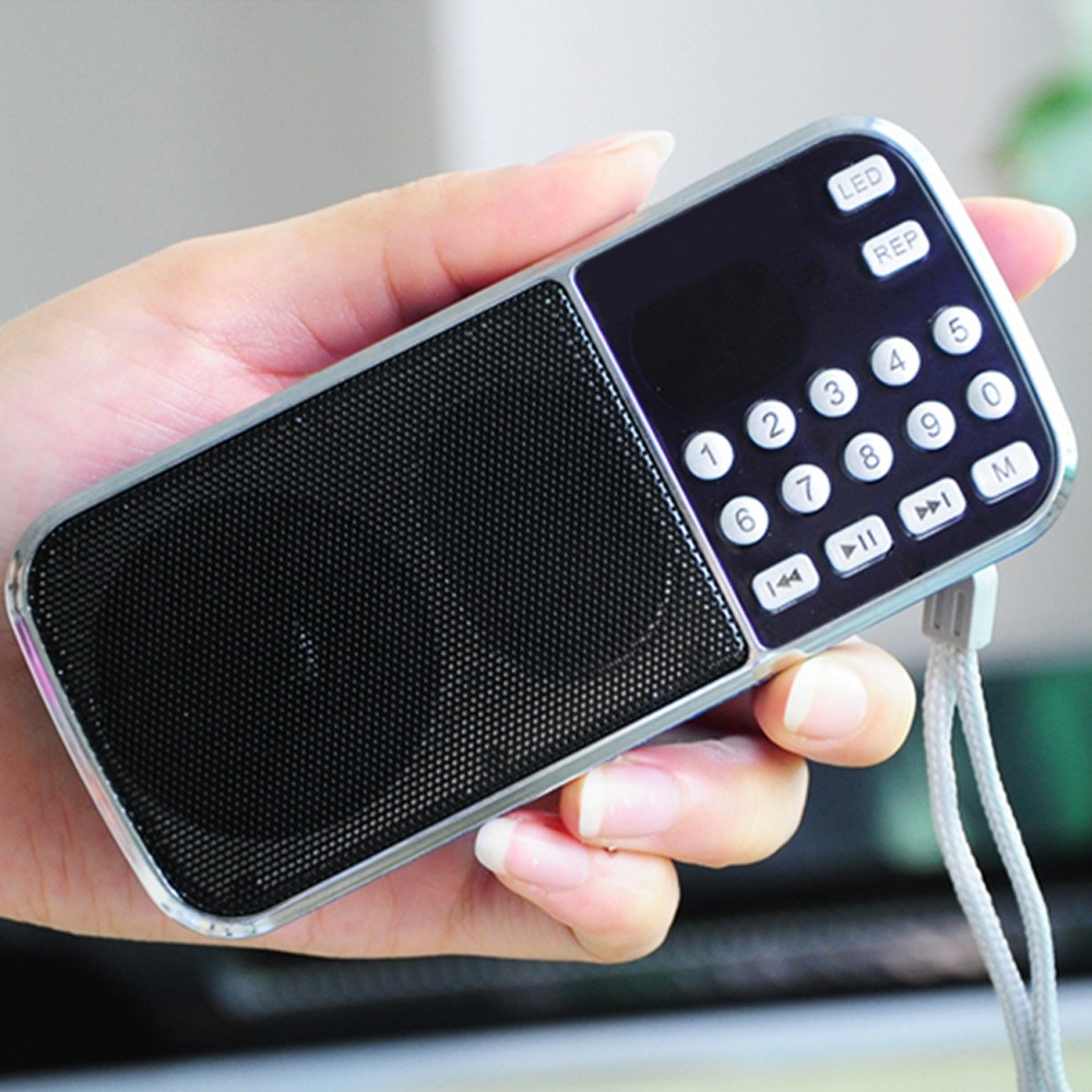 L-088 Portable HIFI Mini Speak - đánh giá và giá Portable Amplifier Mini